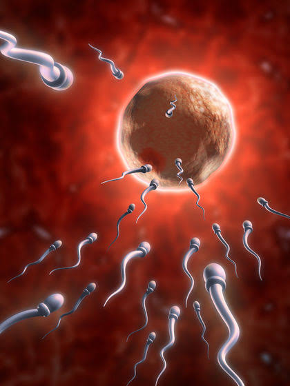BIOLOGY